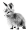 <img:stuff/EasterBulletBunSilver.png>