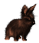 <img:stuff/EasterBulletBunSunburntBlkRev.png>