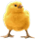<img:stuff/EasterBulletChick-1Tiny.png>