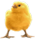 <img:stuff/EasterBulletChick-1TinyRev.png>