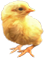 <img:stuff/EasterBulletChick-2Rev.png>
