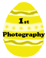 <img:http://elftown.heddate.com/stuff/Ebadge1stPhotography.gif>