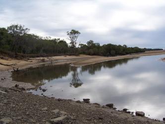 <img0*250:stuff/Eerie_Mangroves.jpg>