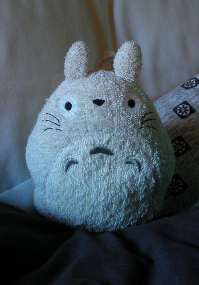 <img400*0:stuff/Eirikr%27s%20bedtime%20Totoro.jpg>