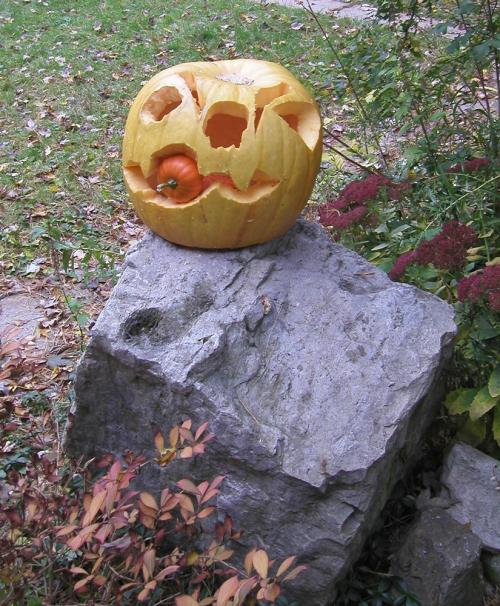 <img500*0:stuff/EirikrPumpkin1%20S09.jpg>