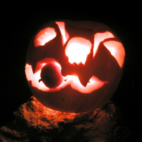 <img500*0:stuff/EirikrPumpkin2%20S09.jpg>