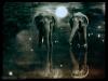 <img0*75:stuff/ElephantsByNehirwen.jpg>