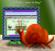 <img50*0:http://elftown.heddate.com/stuff/Elftown_Loves_A_Bug.png>