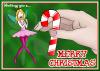 <img100*0:stuff/Elys_Xmascandycane.png>