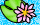 <img:stuff/Elys_waterlily.gif>
