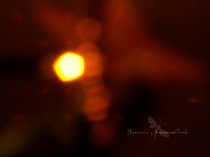 <img300*0:stuff/Elys_xmaslights2.png>