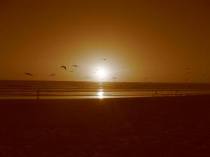 <img300*0:stuff/Ending%20calm.jpg>