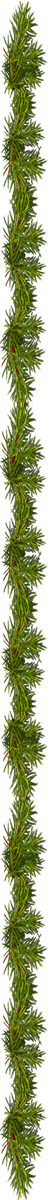 <img:stuff/EvergreenBorder_50X1200.png>