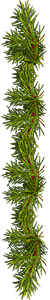 <img:stuff/EvergreenBorder_50X300_rev.png>