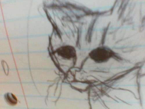 Evil_Cat_3