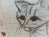 Evil_Cat_3