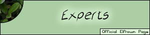 <img:stuff/Experts.jpg>