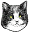 <img:stuff/Eye-roll_lft.png>