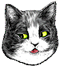 <img:stuff/Eye-roll_rt.png>