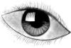 Eye1