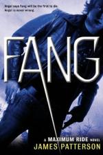 <img150*0:stuff/FANG_review.jpg>