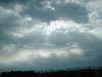 <img200*0:stuff/FPDawlishWarren04.jpg>