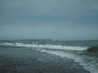 <img200*0:stuff/FPDawlishWarren09.jpg>