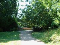 <img200*0:stuff/FP_BradleyWoods_001.jpg>
