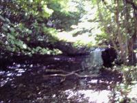 <img200*0:stuff/FP_BradleyWoods_004.jpg>