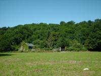 <img200*0:stuff/FP_BradleyWoods_005.jpg>