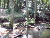 <img200*0:stuff/FP_BradleyWoods_007.jpg>