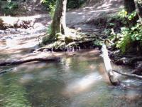 <img200*0:stuff/FP_BradleyWoods_008.jpg>