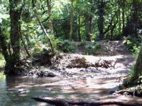 <img200*0:stuff/FP_BradleyWoods_009.jpg>