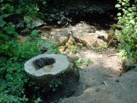 <img200*0:stuff/FP_BradleyWoods_012.jpg>