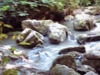 <img200*0:stuff/FP_BradleyWoods_016.jpg>
