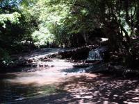 <img200*0:stuff/FP_BradleyWoods_017.jpg>