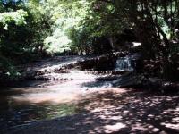 <img200*0:stuff/FP_BradleyWoods_018.jpg>