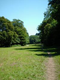 <img200*0:stuff/FP_BradleyWoods_024.jpg>