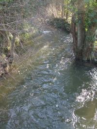 <img200*0:stuff/FP_BradleyWoods_027.jpg>