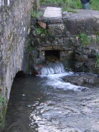 <img200*0:stuff/FP_BradleyWoods_028.jpg>