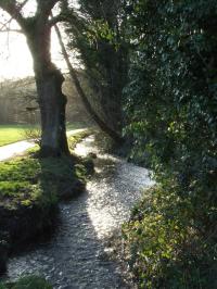 <img200*0:stuff/FP_BradleyWoods_029.jpg>