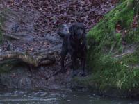 <img200*0:stuff/FP_BradleyWoods_032.jpg>