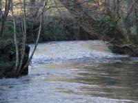 <img200*0:stuff/FP_BradleyWoods_036.jpg>
