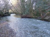 <img200*0:stuff/FP_BradleyWoods_037.jpg>