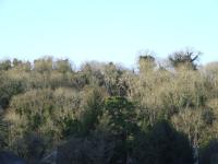 <img200*0:stuff/FP_BradleyWoods_039.jpg>