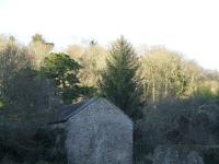 <img200*0:stuff/FP_BradleyWoods_040.jpg>