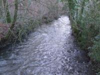 <img200*0:stuff/FP_BradleyWoods_041.jpg>