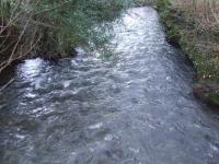 <img200*0:stuff/FP_BradleyWoods_042.jpg>