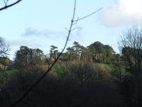 <img200*0:stuff/FP_BradleyWoods_043.jpg>