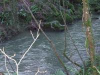 <img200*0:stuff/FP_BradleyWoods_045.jpg>